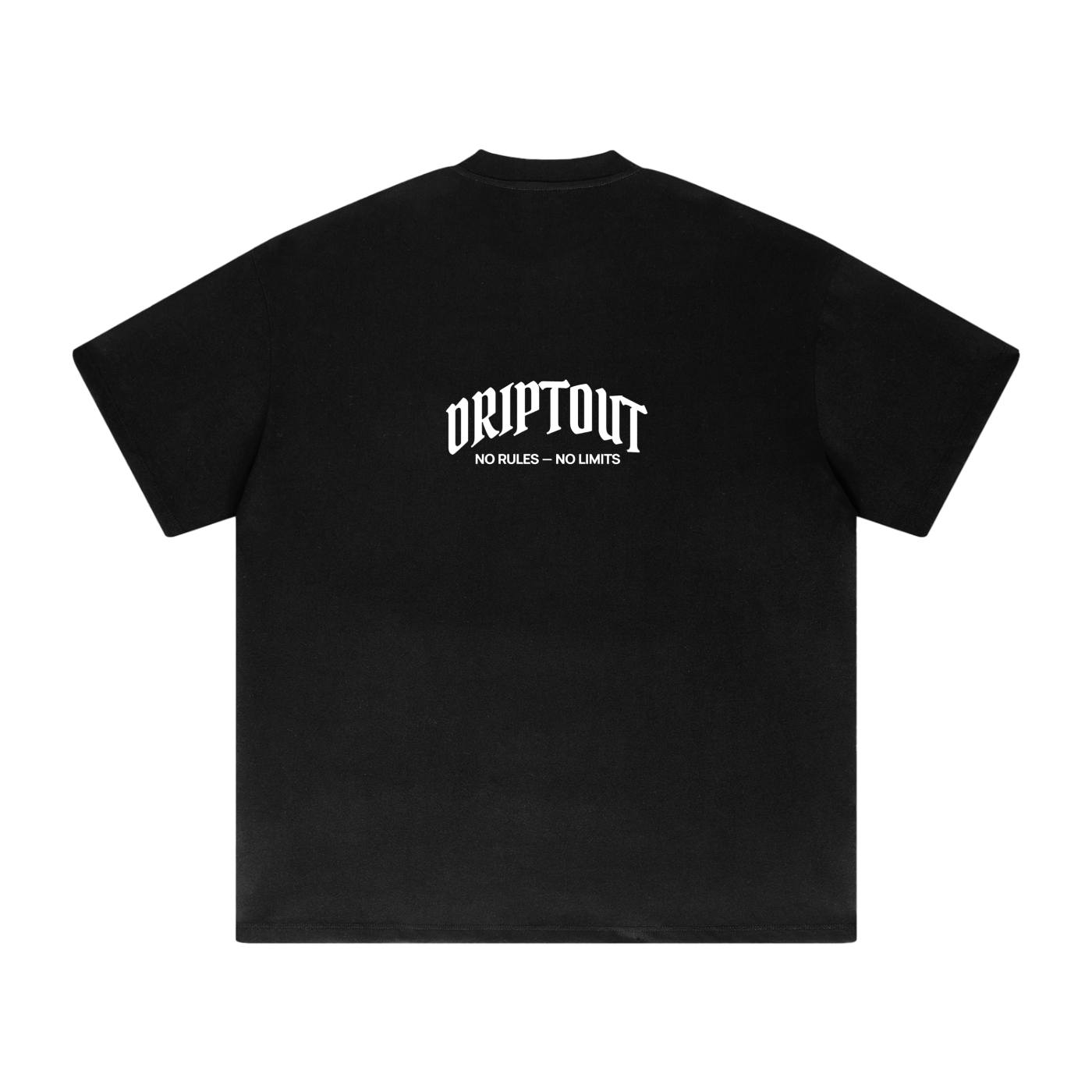 No Rules - No Limits Heavy Oversized T-Shirt